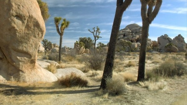 Sacred Earth / Filmkép