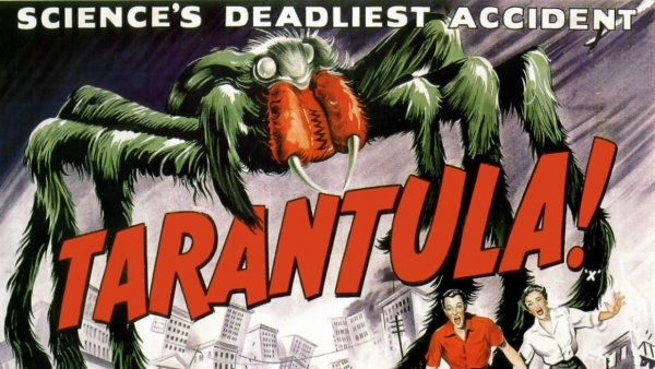 Óriáspók / Filmkép