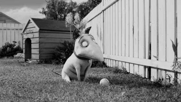 Frankenweenie - Ebcsont beforr / Filmkép