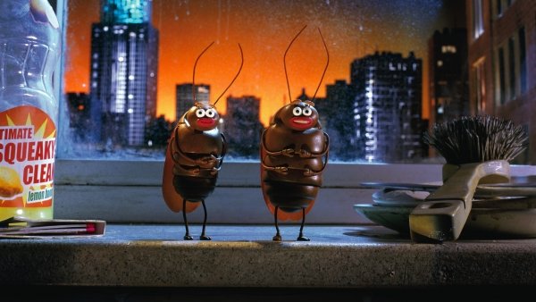 Állatállapot / Filmkép