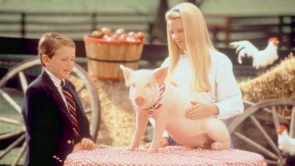 Kurta farkú szerencse / Filmkép