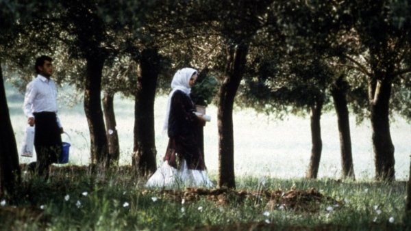 Az olajligeten át(Az olajfák alatt) / Filmkép Az olajligeten át(Az olajfák alatt) / Filmkép