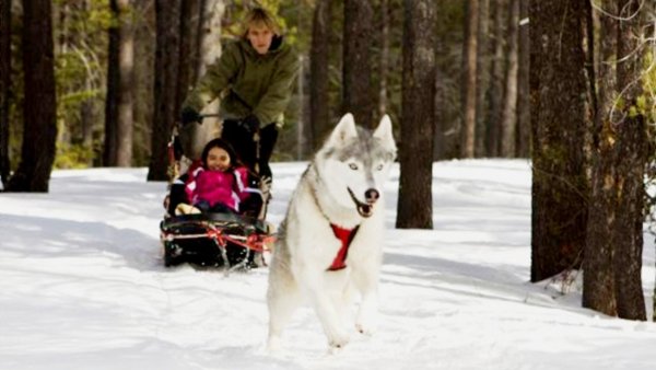 A vadon szava 3D / Filmkép