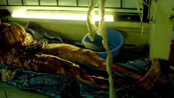 Live Feed / Filmkép