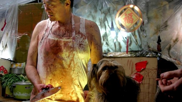 Live Feed / Filmkép