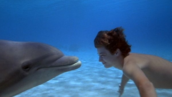 Flipper / Filmkép