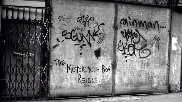 Rablóhal / Filmkép