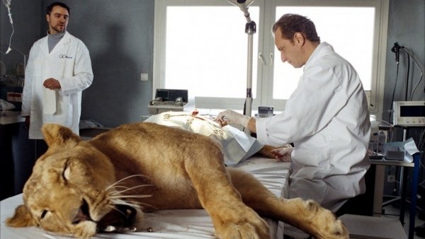 Biztos kezekben / Filmkép