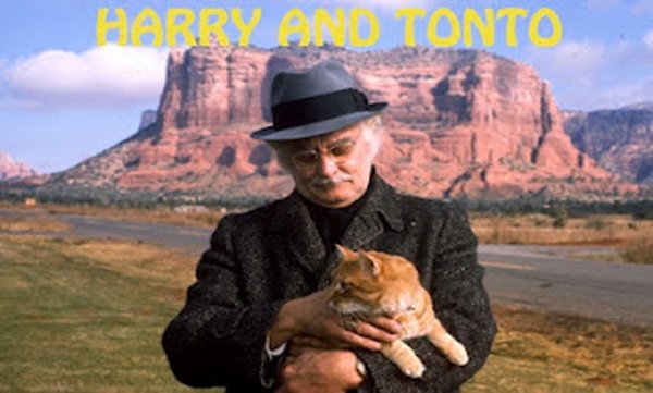 A macskás öregúr / Filmkép