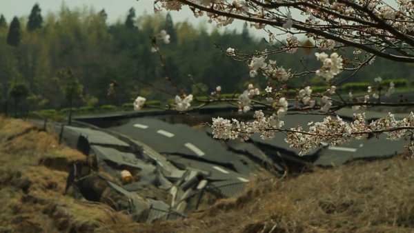 The Tsunami and the Cherry Blossom / Filmkép