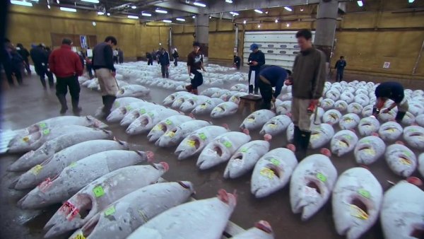 Sushi: The Global Catch / Filmkép Sushi: The Global Catch / Filmkép