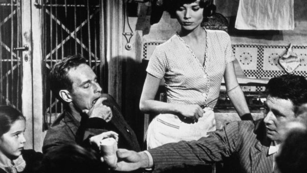 The Pigeon That Took Rome / Filmkép