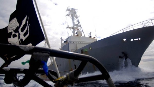 Bálnák háborúja / Filmkép