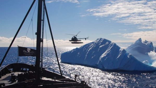 Bálnák háborúja / Filmkép