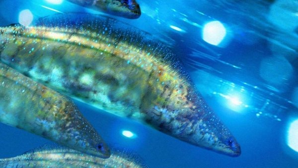 Walking with Monsters / Filmkép