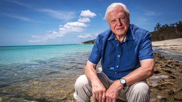David Attenborough: A Nagy-korallzátony / Filmkép
