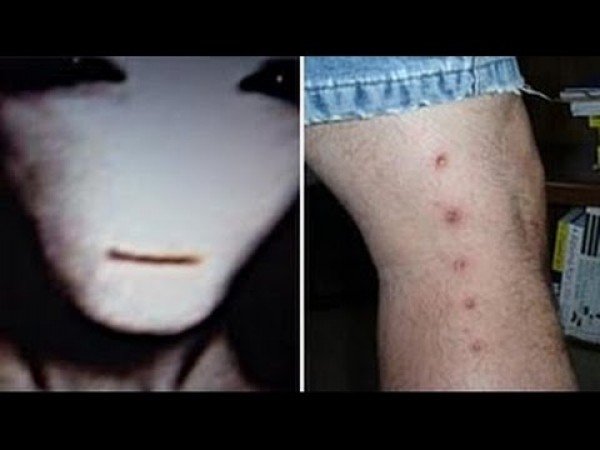 Extraordinary: The Stan Romanek Story / Filmkép