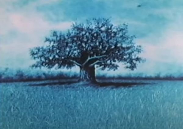 Gravitáció / Filmkép