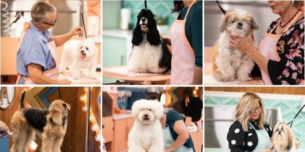 Kutyafodrász / Filmkép