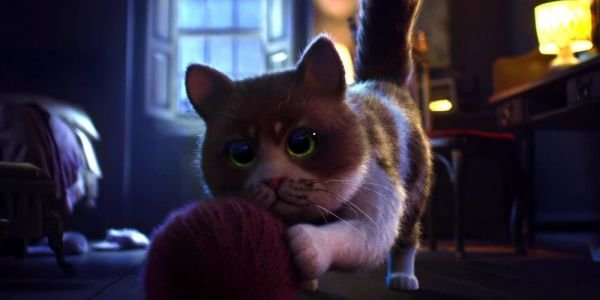 Félénk kiscicák / Filmkép