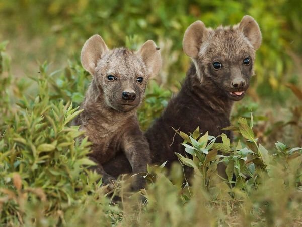 Szerelmi játékok / Filmkép