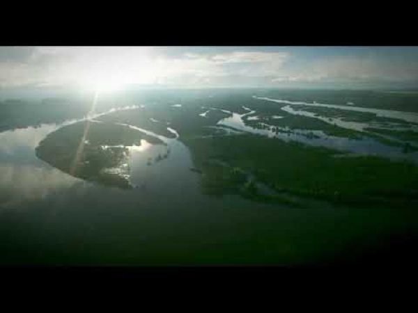 Egy magyar sír az esőerdőben / Filmkép