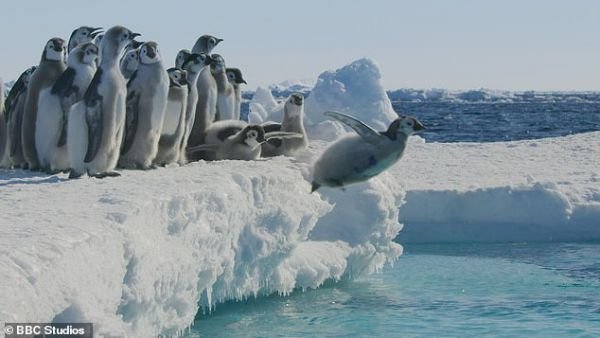 Fagyott bolygó II / Filmkép