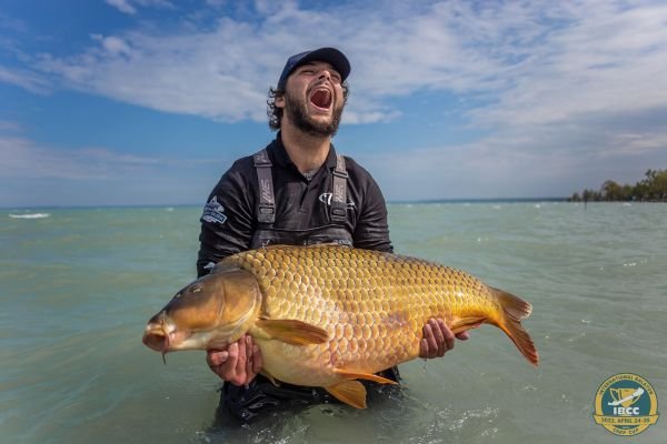 IX. IBCC / Filmkép IX. IBCC / Filmkép