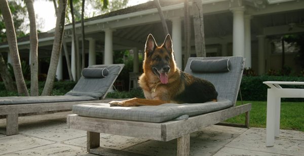 Gunther vagyona / Filmkép