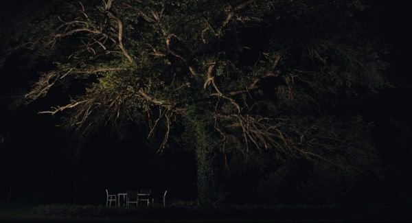 Saját erdő / Filmkép