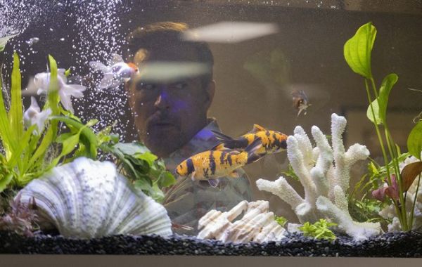 The Assassin / Filmkép