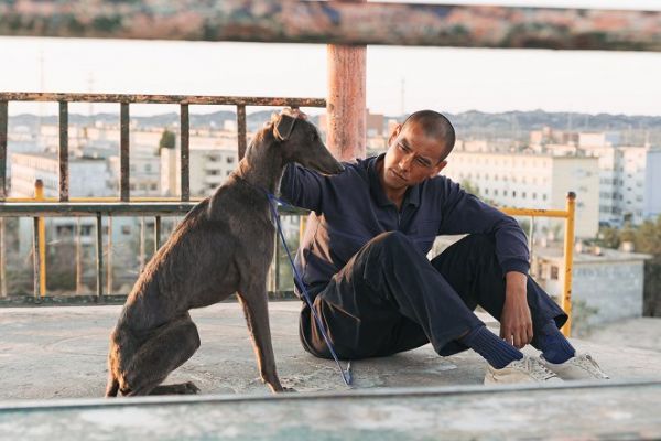 Fekete kutya / Filmkép