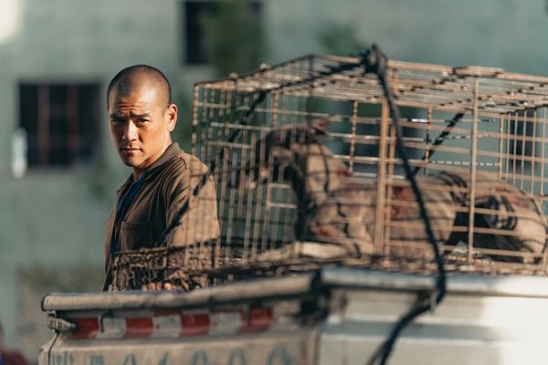 Fekete kutya / Filmkép