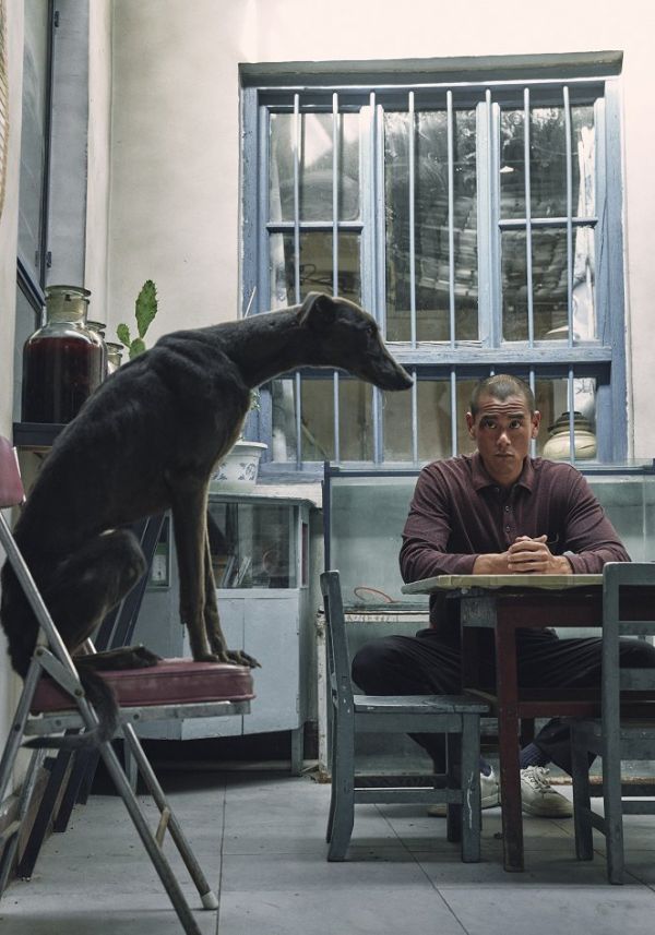 Fekete kutya / Filmkép