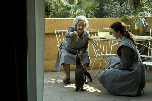 Alfonsina Carrocio - Pingvin leckék (2025)