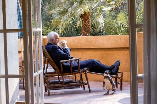 Jonathan Pryce - Pingvin leckék (2025)