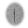 Beni65f