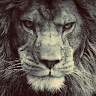 LION405739