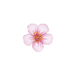 Edit424282
